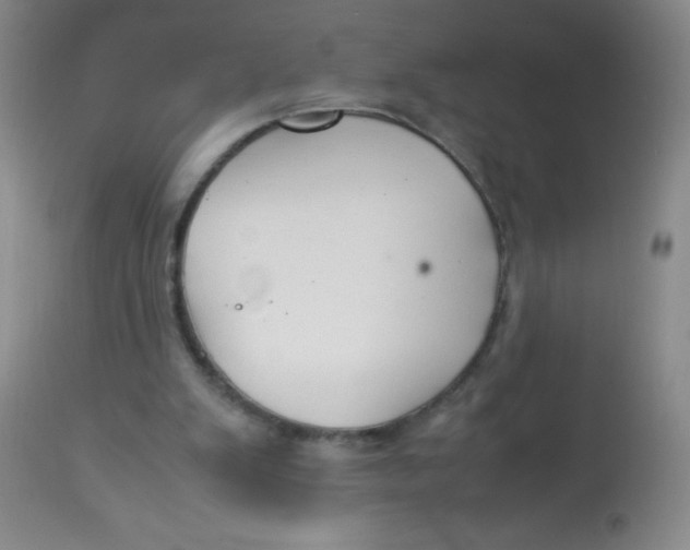 X0000113760103200910211219