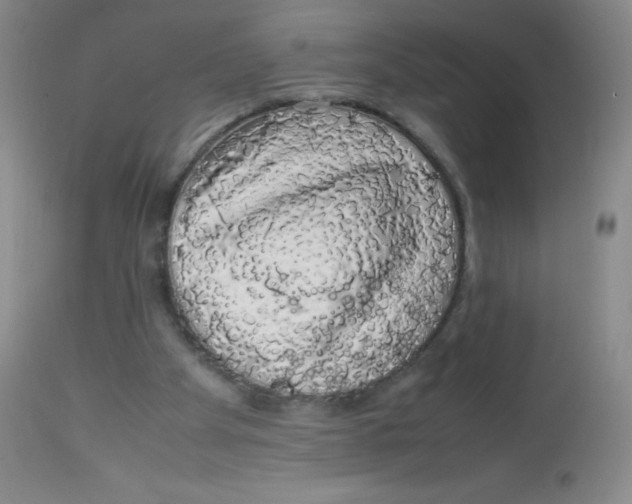 X0000113760105200910211219