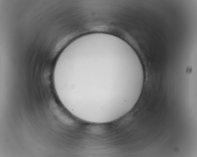 X0000113760106200910211219