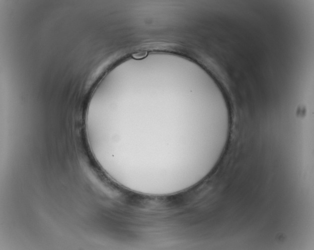 X0000113760107200910211218