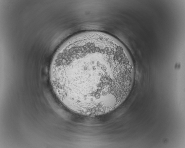 X0000113760109200910211218