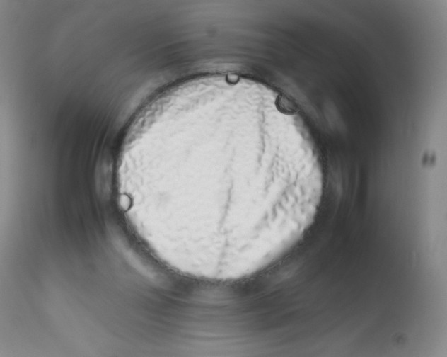 X0000113760110200910211218