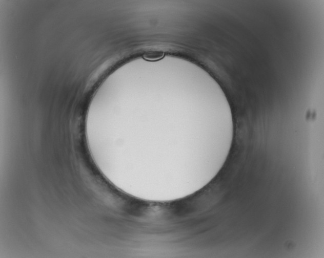 X0000113760111200910211218