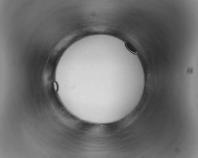 X0000113760116200910211218