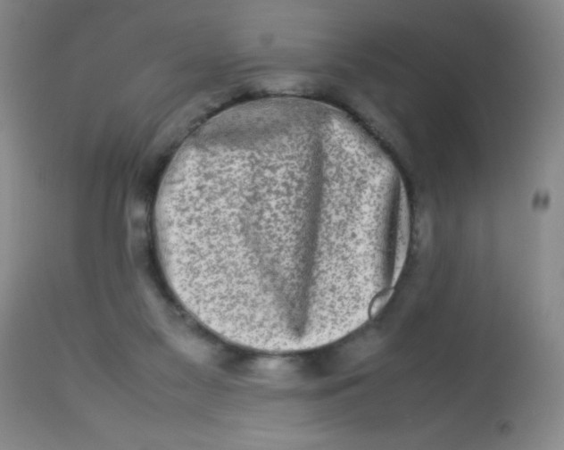 X0000113760117200910211218