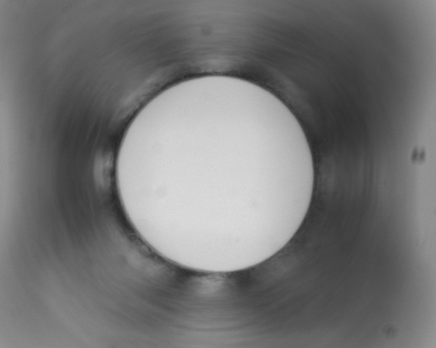 X0000113760118200910211218