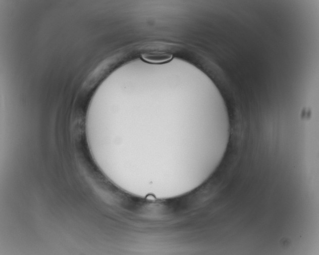 X0000113760119200910211218