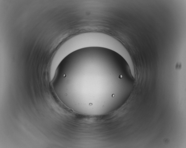 X0000113760120200910211218