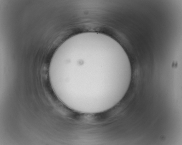 X0000113760121200910211218