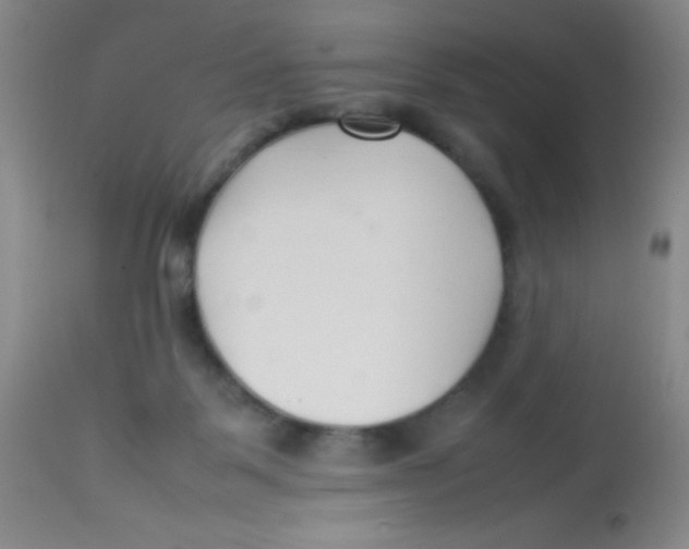 X0000113760123200910211218