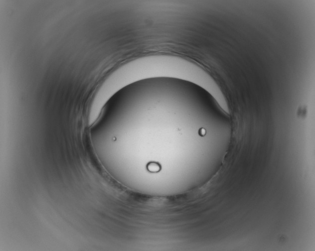 X0000113760124200910211218