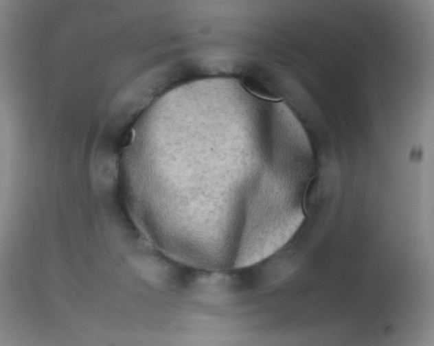 X0000113760125200910211218