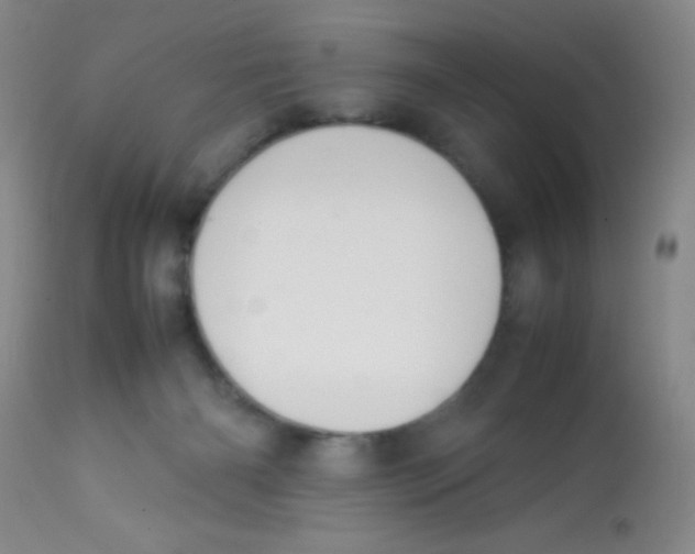 X0000113760126200910211218