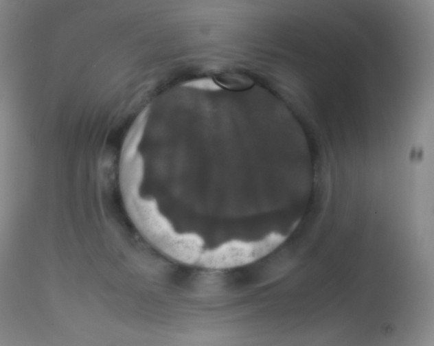 X0000113760127200910211218