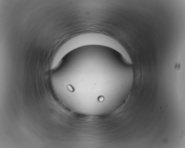 X0000113760128200910211218
