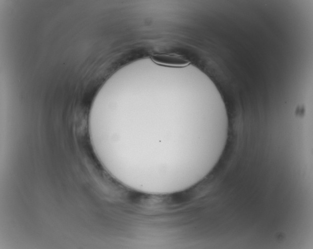 X0000113760129200910211218