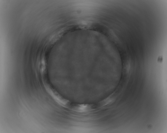 X0000113760130200910211218