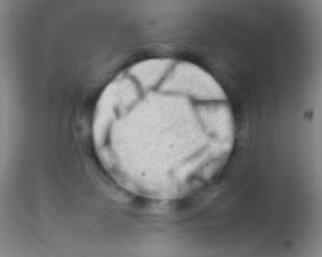 X0000113760131200910211218