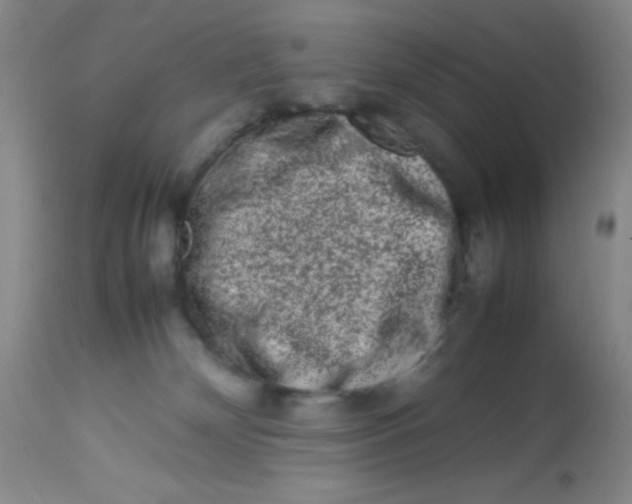 X0000113760132200910211218