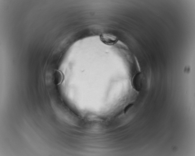 X0000113760134200910211218