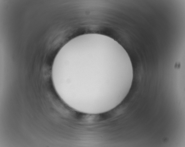 X0000113760135200910211218