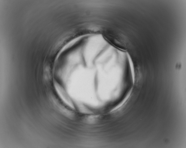 X0000113760136200910211218