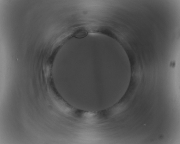 X0000113760139200910211218