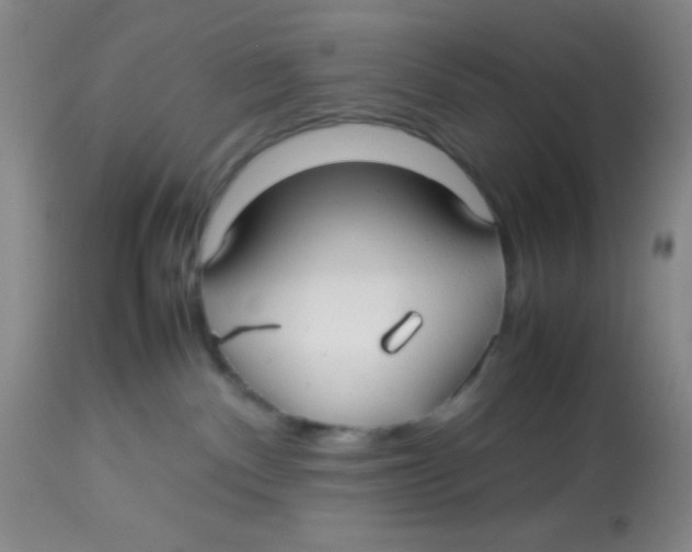 X0000113760140200910211218