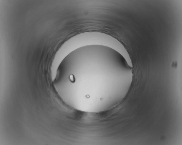 X0000113760141200910211218