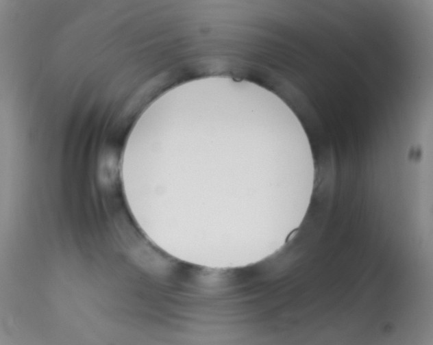 X0000113760142200910211218