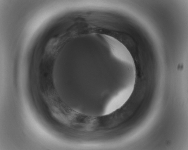 X0000113760143200910211218
