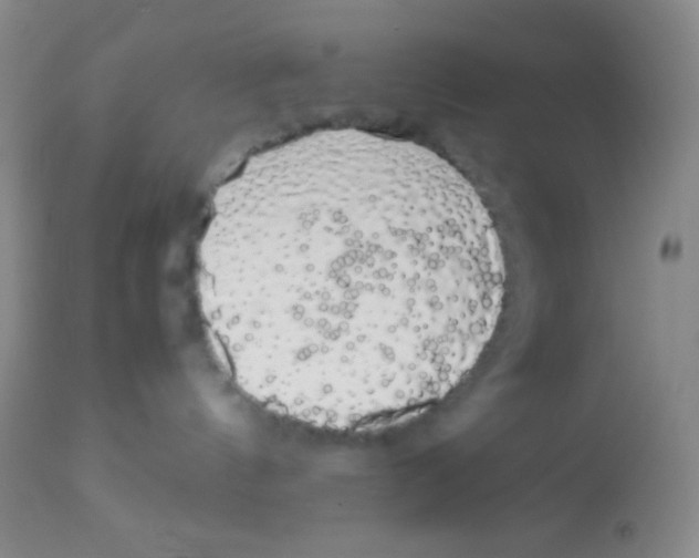X0000113760144200910211218