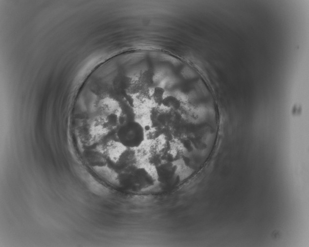 X0000113760145200910211217