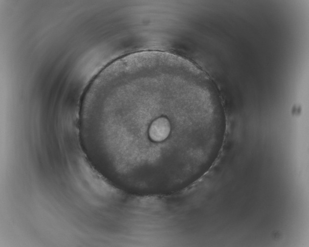 X0000113760146200910211217
