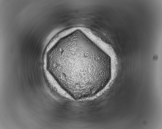 X0000113760147200910211217