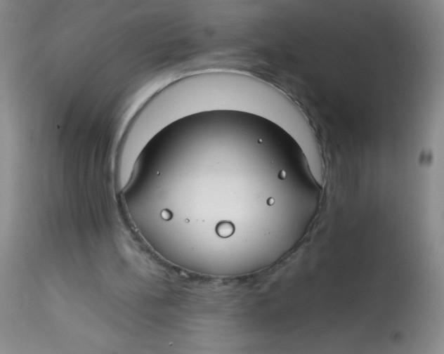 X0000113760148200910211217