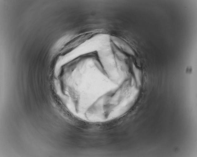 X0000113760149200910211217
