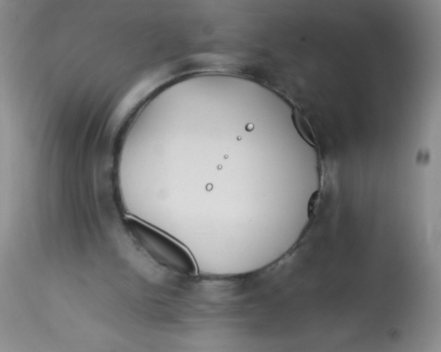 X0000113760150200910211217