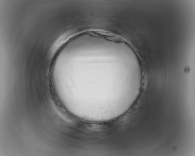 X0000113760151200910211217