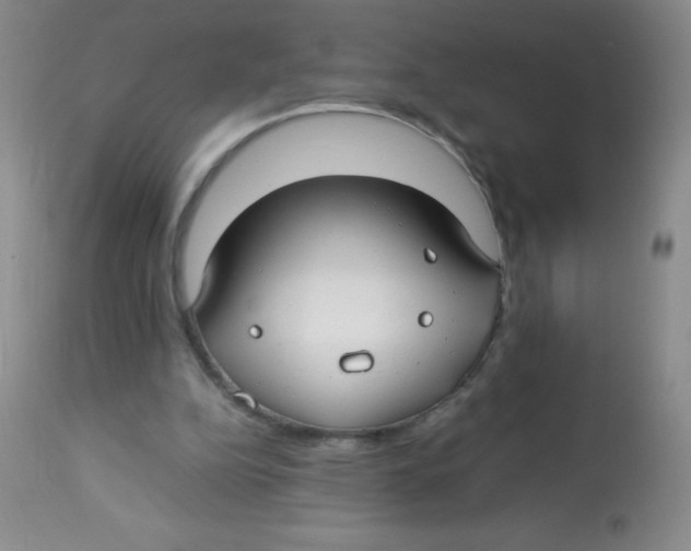 X0000113760152200910211217