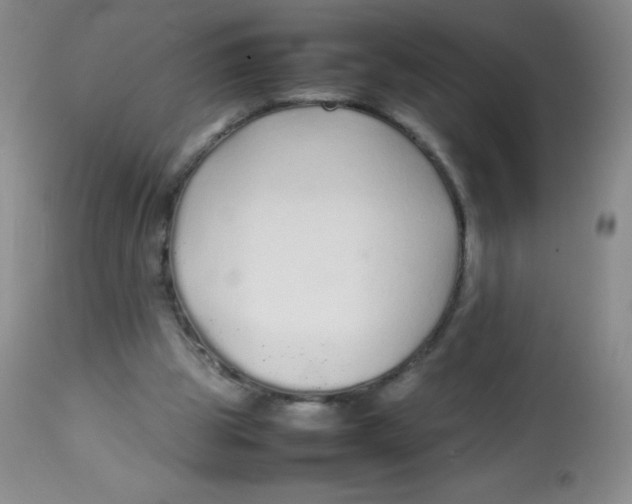 X0000113760153200910211217