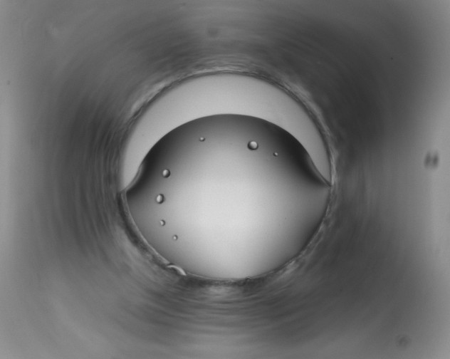 X0000113760154200910211217