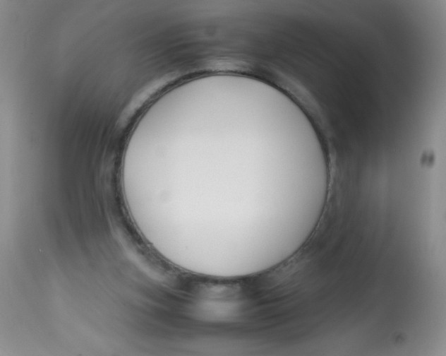 X0000113760155200910211217