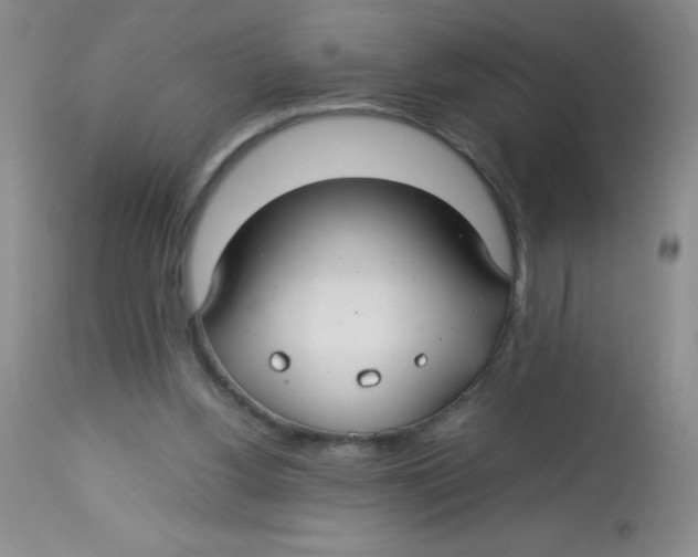 X0000113760156200910211217