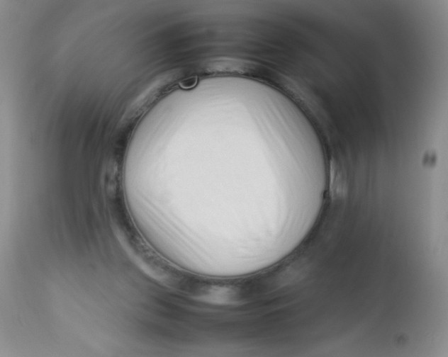 X0000113760157200910211217