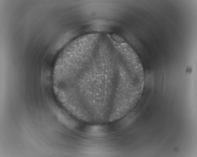 X0000113760158200910211217
