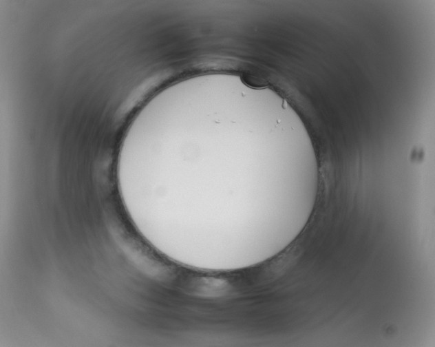 X0000113760159200910211217