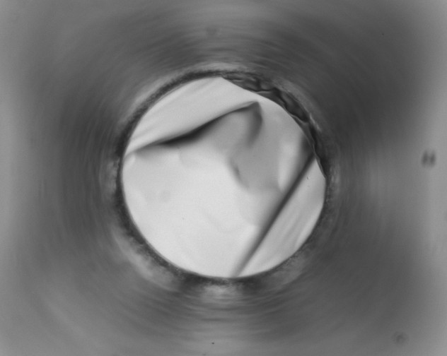 X0000113760160200910211217