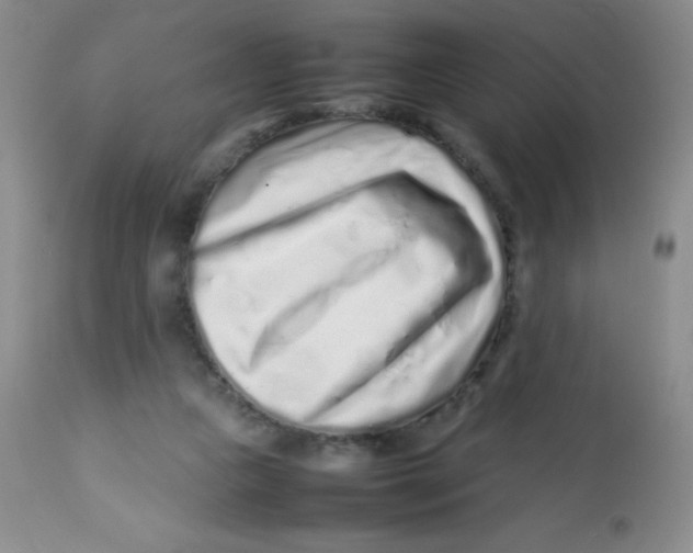 X0000113760161200910211217