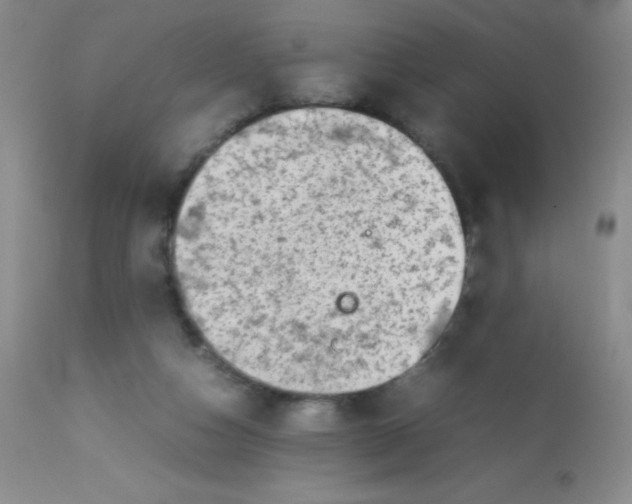 X0000113760162200910211217